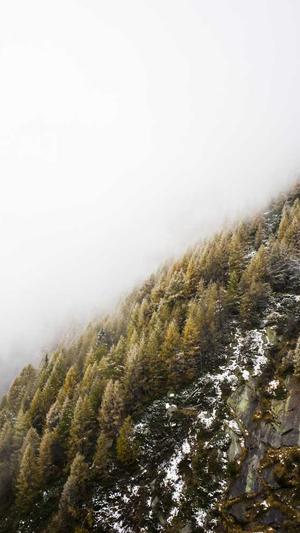 黑料正能量和黑料不打烊截图5