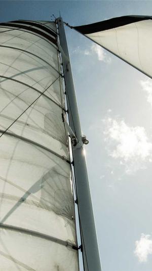 宝宝吃哈密瓜好吗截图4