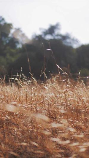 程以南黑料截图2