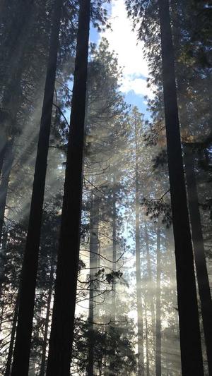 聚氨酯黑料价格截图2