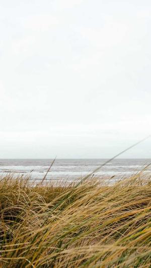 黑料吃瓜资源截图2