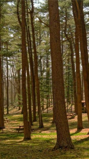 黑料吃瓜在线截图5