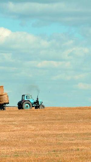 黑料网是什么截图3