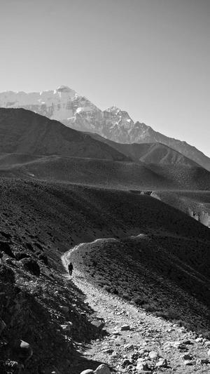 吃哈密瓜有什么好处?截图3