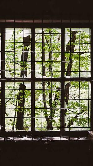 吃瓜的意思截图3