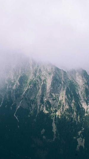 奎瓜怎么吃截图5