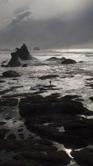 白岩松黑料截图1