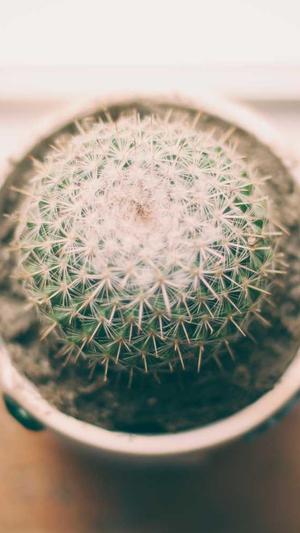 吃瓜娱乐八卦截图2