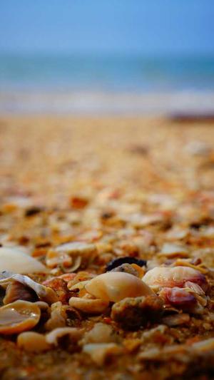 八月瓜孕妇可以吃吗截图2