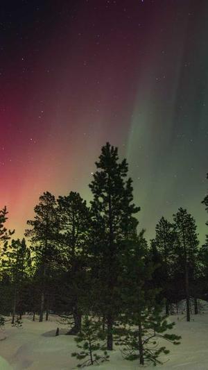 黑料不打烊6688截图3