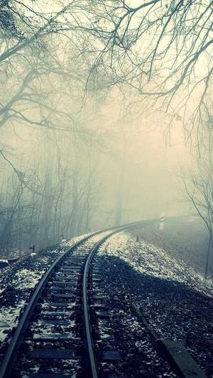 51吃瓜在线吃瓜截图4