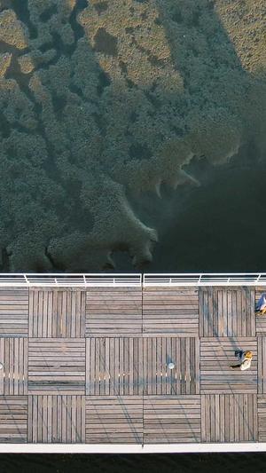 怀孕可以吃哈密瓜吗截图1