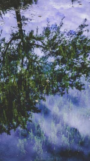 51吃瓜网 - 免费吃瓜截图4