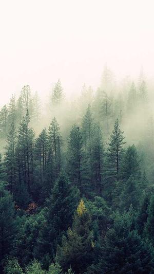 seventeen 黑料实锤截图3