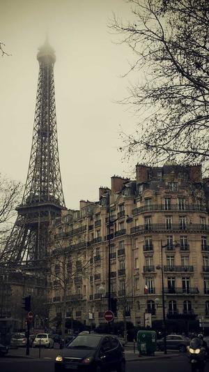 吃哈密瓜上火吗截图1