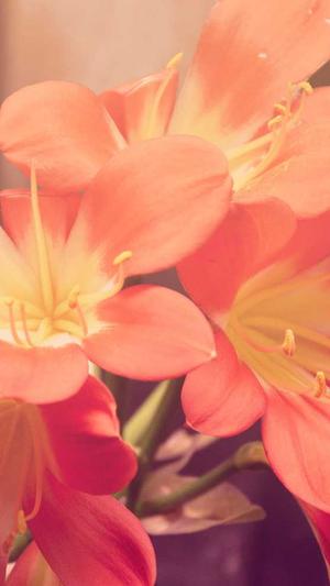 51吃瓜黑料网截图1