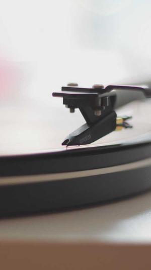 籽瓜孕妇可以吃吗截图2