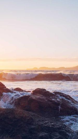 坐月子可以吃籽瓜吗截图3