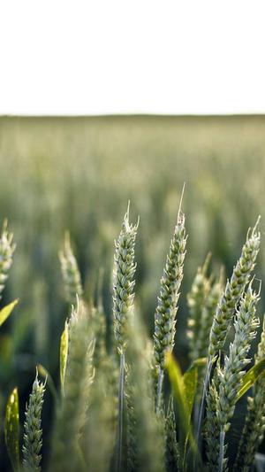 娱乐八卦是吃瓜群众截图3