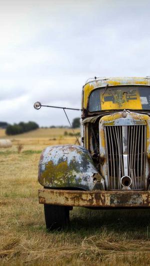 孕妇可以吃哈密瓜吗中期截图2