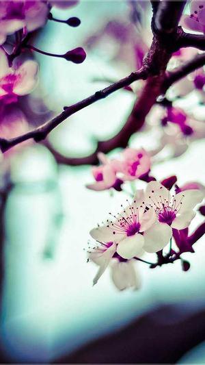 黑料不打烊备用网址截图3