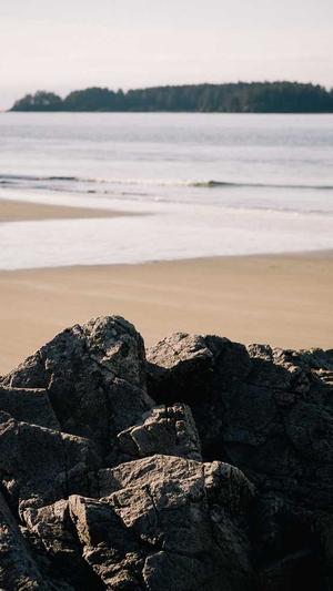 51吃瓜网站截图2