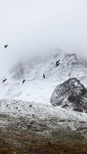 宝剑嫂黑料截图2