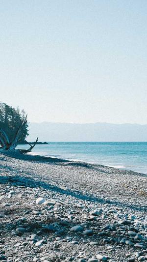 黑料网吃瓜截图2