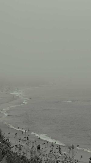 桃子和哈密瓜能一起吃吗截图1