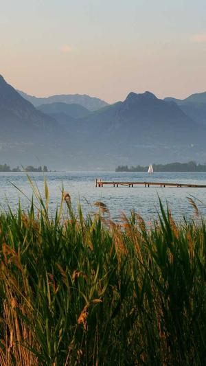 我是吃瓜群众截图1