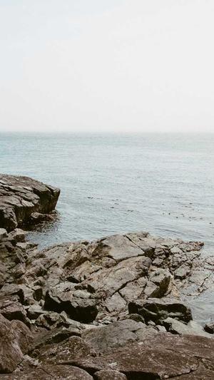 黑料不打烊最新2021地址截图3