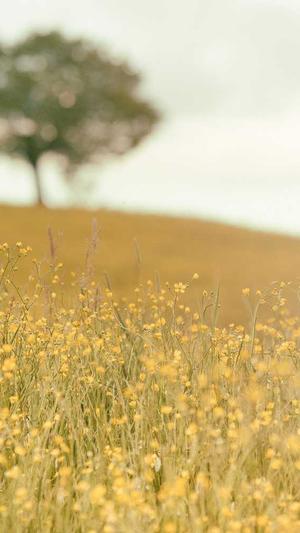 cg7冲哥黑料截图3