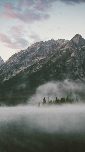 佛手瓜如何吃截图1