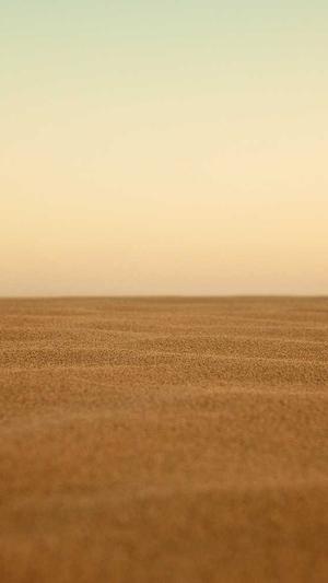 抱抱念酱黑料截图2